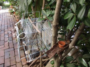 bird_feeder-1kai-20151206-1