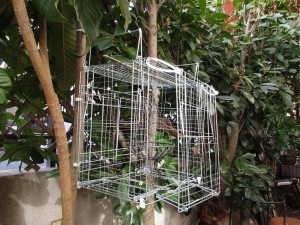 bird_feeder-1kai-20151206-10