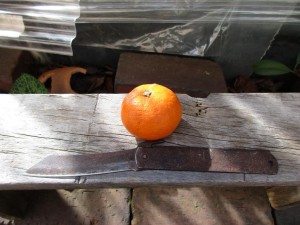 bird_feeder-1kai-20151206-5