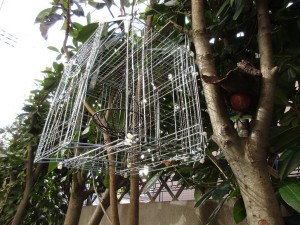 bird_feeder-1kai-20151206-9