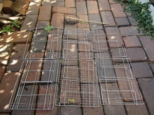 bird-feeder-ver1_re_re_2-20160228