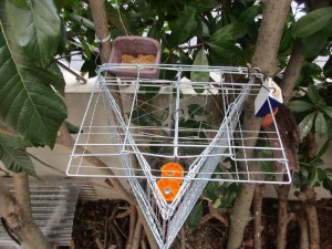 bird-feeder-ver1_re_re_6-20160228