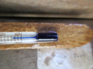 biotope-homemade-20160302-8