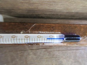 biotope-homemade-20160302-9