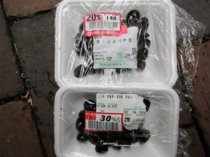 bio-freshwater-clam-20180528-1