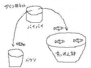 biotope-water-lily-bowl-201600828